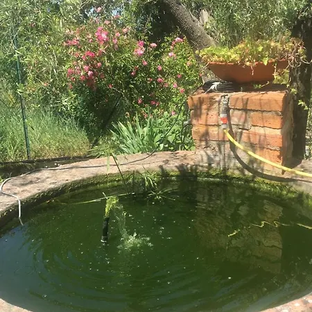 La Casa Di Ray -